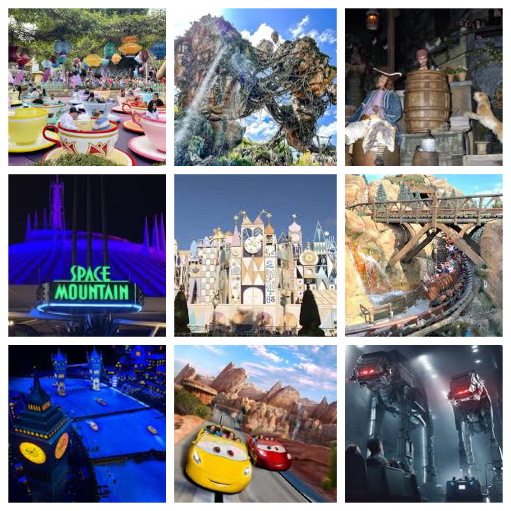Disney Theme Park Ride